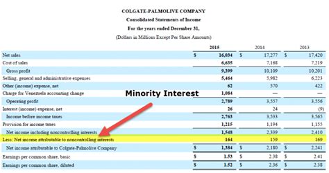 what is total equity gross minority interest